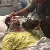 Η συγκινητική στιγμή που ένας σκύλος επισκέπτεται το ετοιμοθάνατο αφεντικό του στο νοσοκομείο