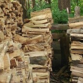 Πού είναι το γατάκι σ' αυτό το χάος;