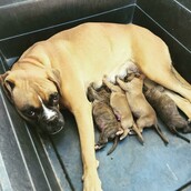 30 νέες φωτογραφίες απ' τα τέλεια ζώα των αναγνωστών μας