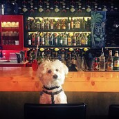 30 νέες φωτογραφίες απ' τα τέλεια ζώα των αναγνωστών μας