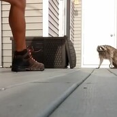 Ποτέ μην τα βάζεις με μια μάνα!