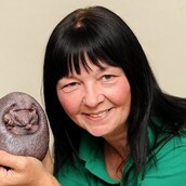 Η σπάνια περίπτωση του Νέλσον, του σκαντζόχοιρου που δεν έχει ούτε ένα αγκάθι στο σώμα του