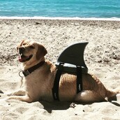 30 νέες φωτογραφίες απ' τα τέλεια ζώα των αναγνωστών μας