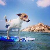 30 νέες φωτογραφίες απ' τα τέλεια ζώα των αναγνωστών μας