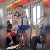 Η "πατέντα" με το χάσκι στην τσάντα ώμου που έγινε viral