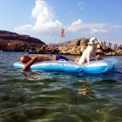 30 νέες φωτογραφίες απ' τα τέλεια ζώα των αναγνωστών μας