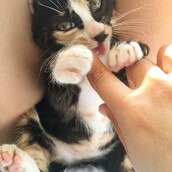 30 νέες φωτογραφίες απ' τα τέλεια ζώα των αναγνωστών μας