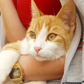 30 νέες φωτογραφίες απ' τα τέλεια ζώα των αναγνωστών μας