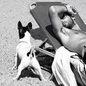 30 νέες φωτογραφίες απ' τα τέλεια ζώα των αναγνωστών μας