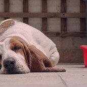 30 νέες φωτογραφίες απ' τα τέλεια ζώα των αναγνωστών μας