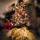 30 νέες φωτογραφίες απ' τα τέλεια ζώα των αναγνωστών μας