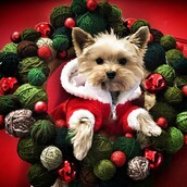 30 νέες φωτογραφίες απ' τα τέλεια ζώα των αναγνωστών μας