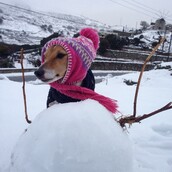 30 νέες φωτογραφίες απ' τα τέλεια ζώα των αναγνωστών μας