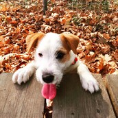 30 νέες φωτογραφίες απ' τα τέλεια ζώα των αναγνωστών μας