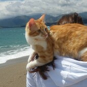 30 νέες φωτογραφίες απ' τα τέλεια ζώα των αναγνωστών μας