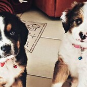 30 νέες φωτογραφίες απ' τα τέλεια ζώα των αναγνωστών μας