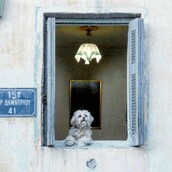 30 νέες φωτογραφίες απ' τα τέλεια ζώα των αναγνωστών μας