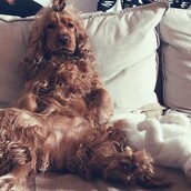 30 νέες φωτογραφίες απ' τα τέλεια ζώα των αναγνωστών μας