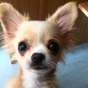 30 νέες φωτογραφίες απ' τα τέλεια ζώα των αναγνωστών μας