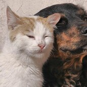 30 νέες φωτογραφίες απ' τα τέλεια ζώα των αναγνωστών μας