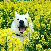 30 νέες φωτογραφίες απ' τα τέλεια ζώα των αναγνωστών μας