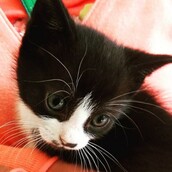 30 νέες φωτογραφίες απ' τα τέλεια ζώα των αναγνωστών μας