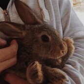 30 νέες φωτογραφίες απ' τα τέλεια ζώα των αναγνωστών μας