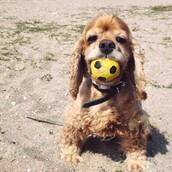 30 νέες φωτογραφίες απ' τα τέλεια ζώα των αναγνωστών μας