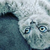 30 νέες φωτογραφίες απ' τα τέλεια ζώα των αναγνωστών μας