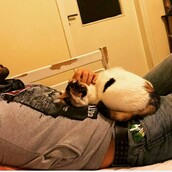 30 νέες φωτογραφίες απ' τα τέλεια ζώα των αναγνωστών μας