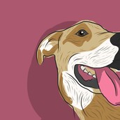 ΚΟΥΪΖ: Πόσο καλά ξέρεις το σκύλο σου;