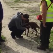 Στην αρχή διστάζει, αλλά μόλις καταλαβαίνει ποιος είναι τρελαίνεται