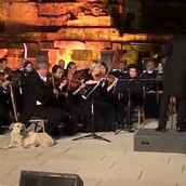 Η τέλεια στιγμή που ένας αδέσποτος σκύλος ανεβαίνει σε σκηνή ενώ ορχήστρα παίζει κλασσική μουσική