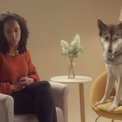 «Ο σκύλος είναι για μια ζωή, όχι μόνο για τα Χριστούγεννα»- Tα βίντεο που συγκινούν