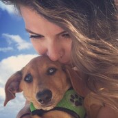 Κάπου στον κόσμο υπάρχει ένα νησί γεμάτο κουτάβια από καταφύγιο για να παίζουν οι επισκέπτες