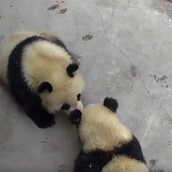 Τι μπορεί να κάνει ένα πάντα ευτυχισμένο;