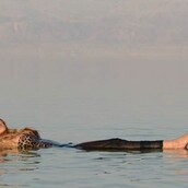 Η Μαράια Κάρεϊ τερματίζει το στιλ παραλίας