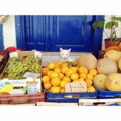 30 νέες φωτογραφίες απ' τα τέλεια ζώα των αναγνωστών μας