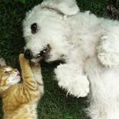 30 νέες φωτογραφίες απ' τα τέλεια ζώα των αναγνωστών μας