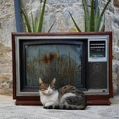 30 νέες φωτογραφίες απ' τα τέλεια ζώα των αναγνωστών μας