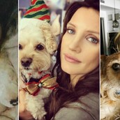 Τα 40 πιο δημοφιλή κατοικίδια των διάσημων στο Instagram