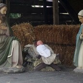 Βρέθηκε η χειρότερη φάτνη στην Ελλάδα - (Σοβαρά τώρα τι είναι αυτό;)