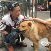 Αυτός ο σκύλος περιμένει καθημερινά 12 ώρες έξω από το μετρό τον ιδιοκτήτη του να επιστρέψει από τη δουλειά