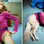 Οι εμβληματικότερες πόζες της Madonna, έτσι όπως ερμηνεύονται από ένα 6χρονο σκύλο