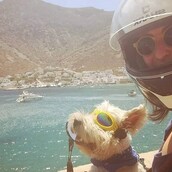30 νέες φωτογραφίες απ' τα τέλεια ζώα των αναγνωστών μας