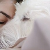 30 νέες φωτογραφίες απ' τα τέλεια ζώα των αναγνωστών μας