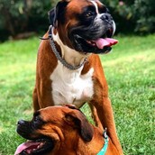 30 νέες φωτογραφίες απ' τα τέλεια ζώα των αναγνωστών μας