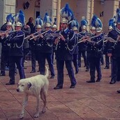 30 νέες φωτογραφίες απ' τα τέλεια ζώα των αναγνωστών μας