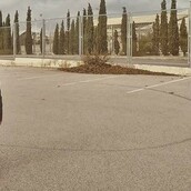 30 νέες φωτογραφίες απ' τα τέλεια ζώα των αναγνωστών μας