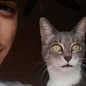30 νέες φωτογραφίες απ' τα τέλεια ζώα των αναγνωστών μας